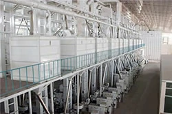 500 tpd advanced fully automatic rice mill plant project
